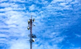 پارازیت ها باران را عقیم می‌کنند؟