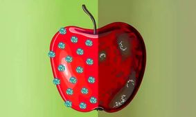 ساخت واکس نانویی که ماندگاری میوه‌ها را افزایش می‌دهد

