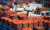 قیمت گوجه فرنگی به مرز ۱۰۰ هزار تومان رسید
