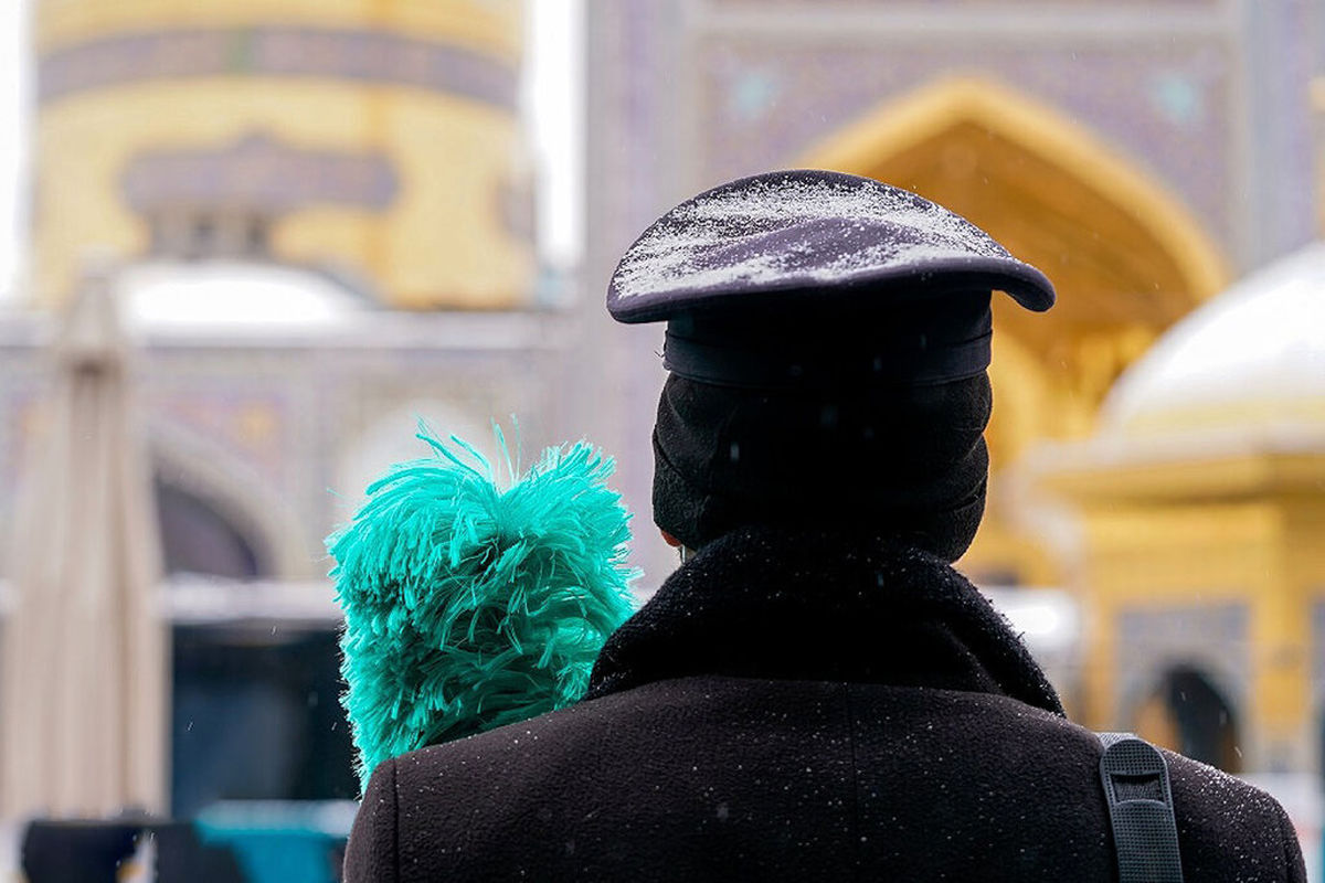 تصویری زیبا و متفاوت از کبوتر حرم امام رضا (ع)