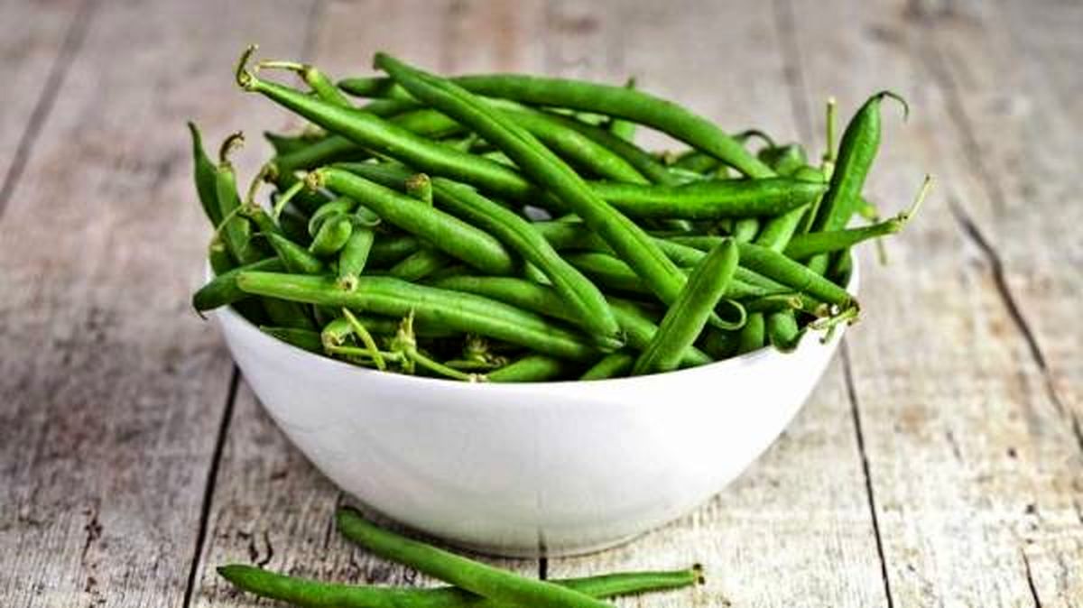 نحوه کاشت و پرورش گیاه لوبیا سبز