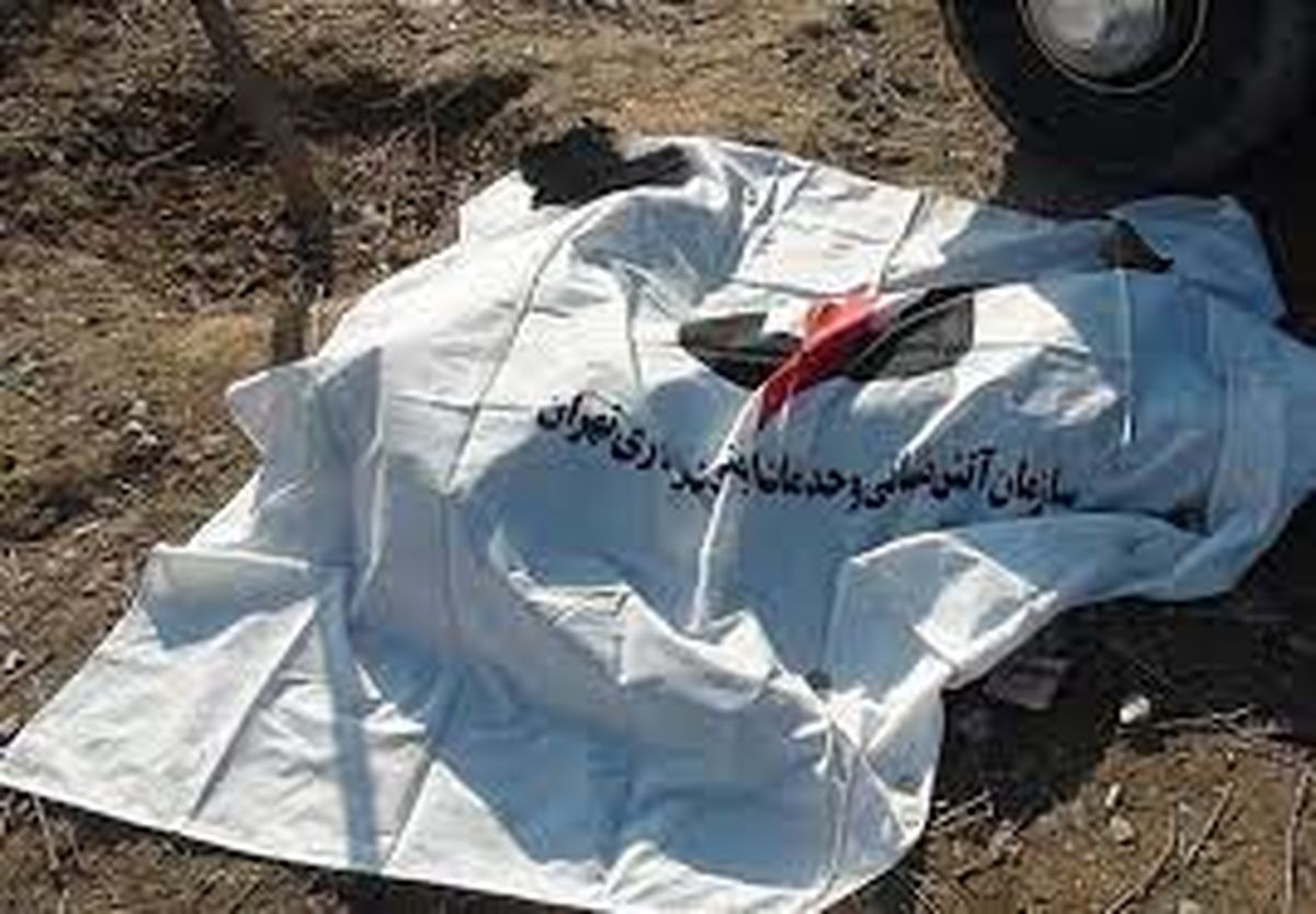توضیح قاضی شهریاری درباره کشف جسد زنی به نام «دنیا» در تهران