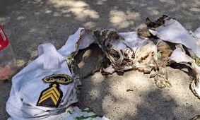 مرگ مرموز راننده ای که مامور پلیس راه را آتش زد