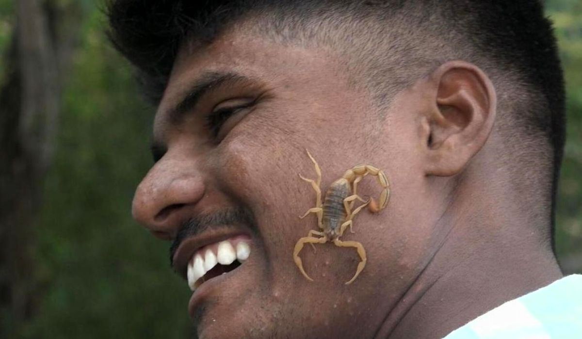 چرا هندو‌ها عقرب‌ های زنده روی صورت و زبان خود می‌گذارند/ ویدئو