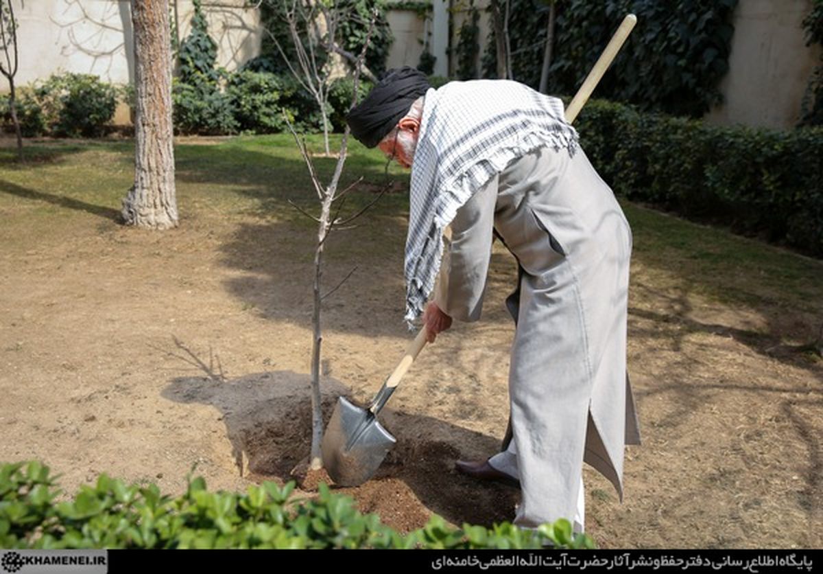 کاشت نهال توسط رهبر انقلاب در روز درختکاری/ تصاویر