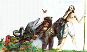 ۵۰۰ میلیون سال پیش؛ تکامل حیات از آب به خشکی با تغییرات ژنتیکی شگفت‌انگیز 