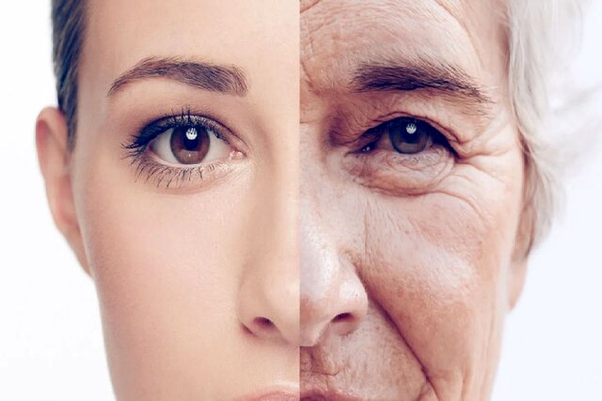۶ پژوهش مهم سال ۲۰۲۳ برای کند کردن روند پیری

