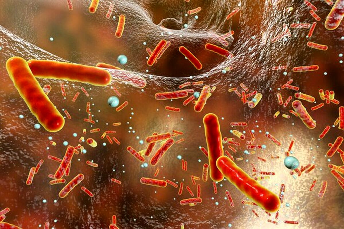 در یک پیشرفت نجات‌بخش نقطه ضعف مقاومت آنتی‌بیوتیکی شناسایی شد

