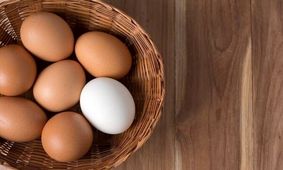 مصرف زرده تخم مرغ برای کهنسالان مضر است؟