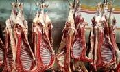 کاهش قیمت دام سبک/ آیا گوشت هم ارزان می‌شود؟
