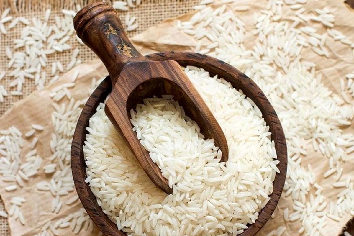واردات برنج کلاً ممنوع شد