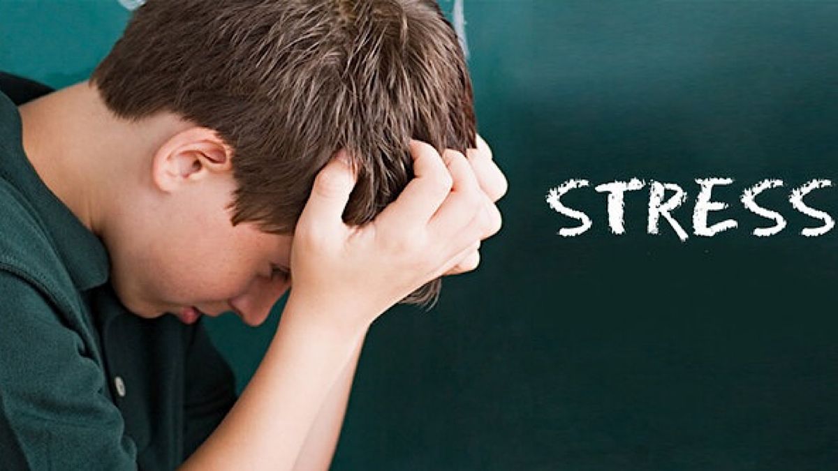 استرس بر عملکرد مغز چه تاثیری می گذارد؟