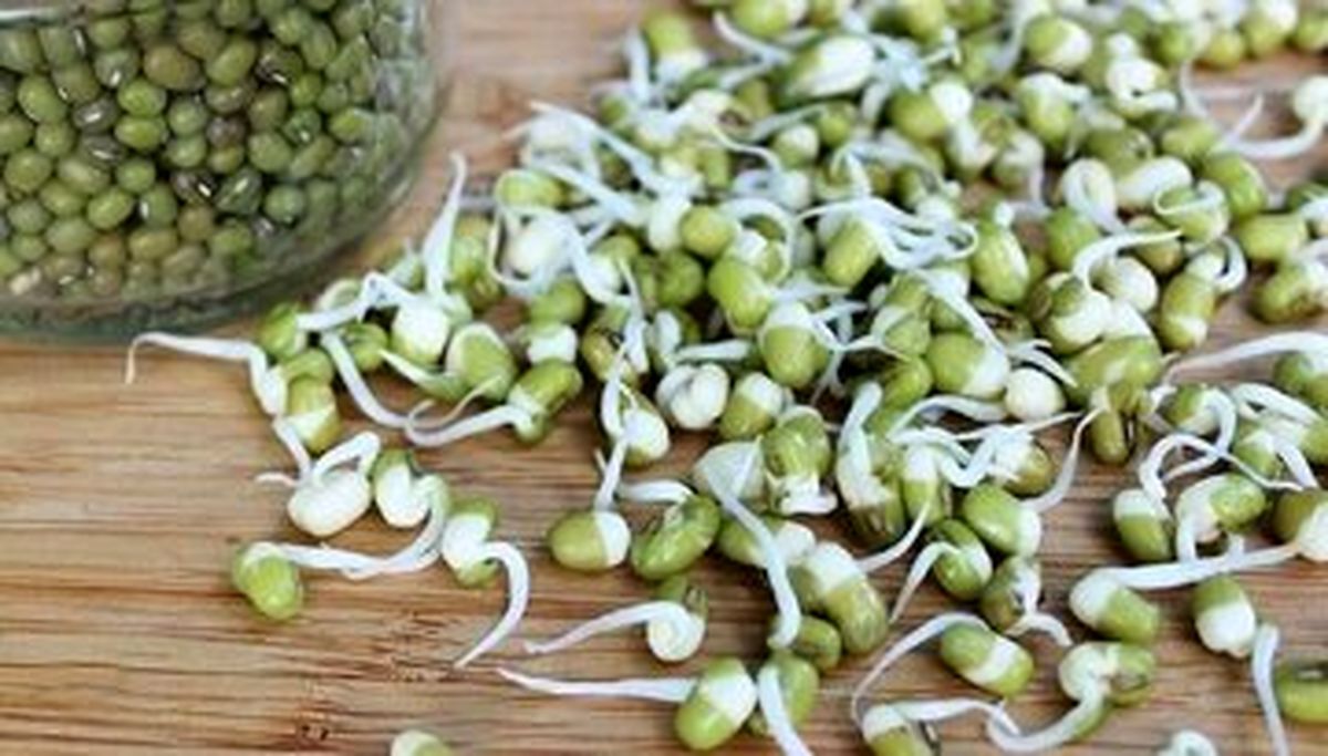 بمب ویتامین و پروتئین را بشناسید