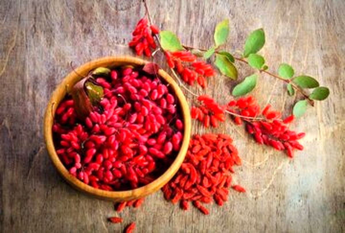 خواص شگفت انگیز زرشک را بشناسید