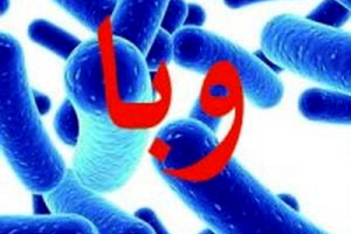 فعلا طغیانی از «وبا» نداریم