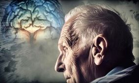 ۸ عادت ساده برای جوانی حافظه تا پس از ۷۰ سالگی
