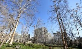 باغ ۲۰۰ ساله در معرض نابودی/ شهردار منطقه یک: به ما گفتند باغ معارض دارد