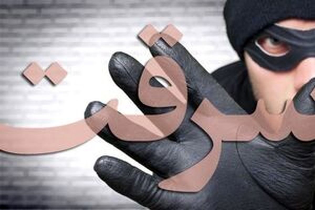  سرقت مسلحانه‌ای نافرجام در آرژانتین/ ویدئو