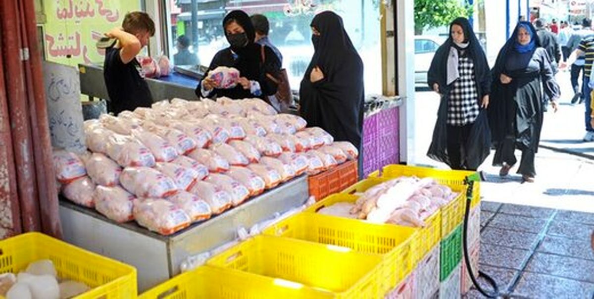 قیمت مرغ پر کشیده؛ مطالبات کشاورزان نیز پرداخت نشده