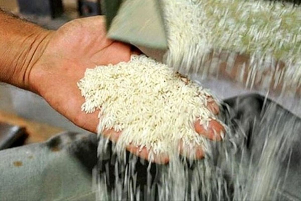 آینده قیمت برنج در ایران چه خواهد شد؟/ برنج ۳۰۰ هزار تومانی هم آرزو می‌شود؟!