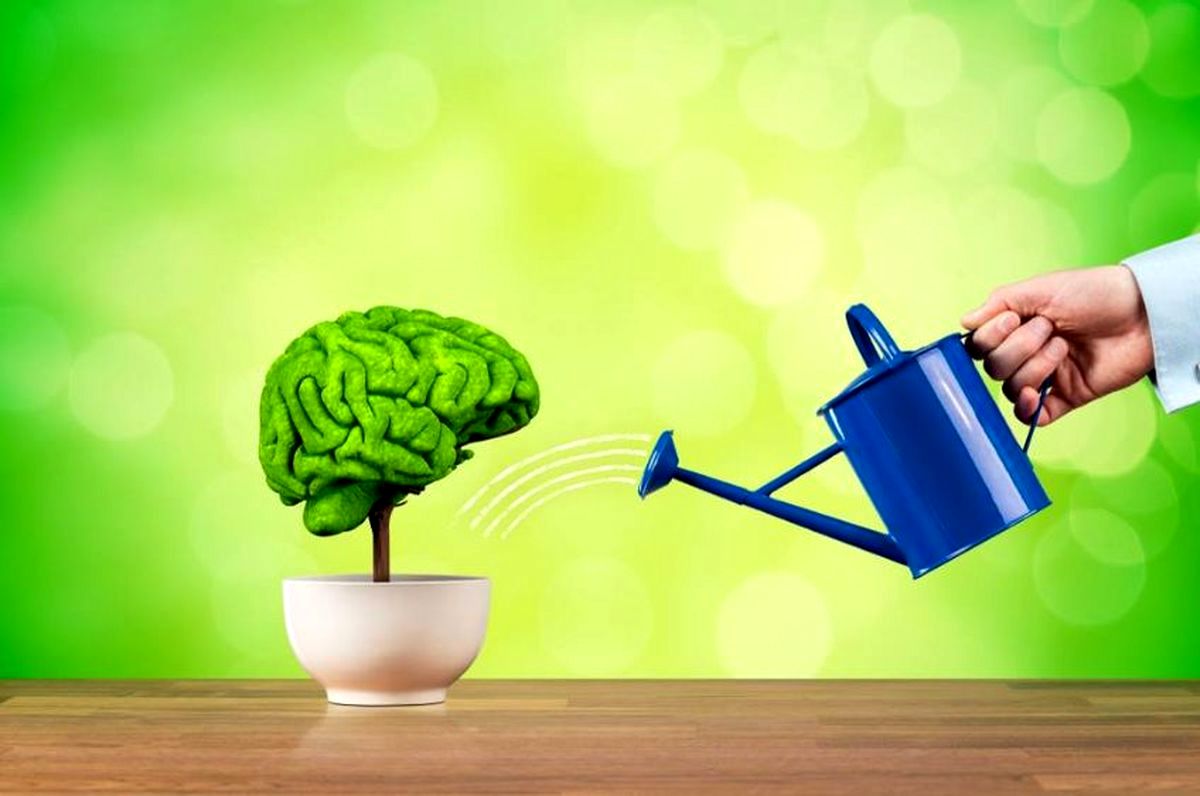 تقویت هوش و حافظه با انجام چند کار ساده