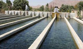 تعطیلی بزرگترین سایت پرورش ماهیان سردآبی کشور در اندیمشک/ وقتی مدیران‌ محلی مانع اشتغال می‌شوند
