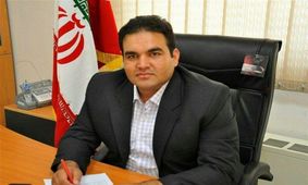 برخورد قاطع دادستانی با عاملان قطع درختان ‌کمربندی اسلامشهر ـ رباط‌کریم‌