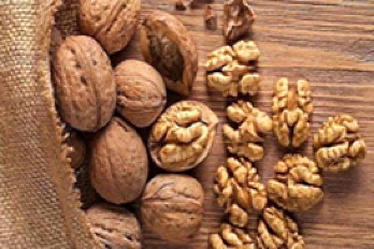 محکومیت قاچاقچی گردو/ 5 میلیارد جریمه 623 کیسه گردو خارجی
