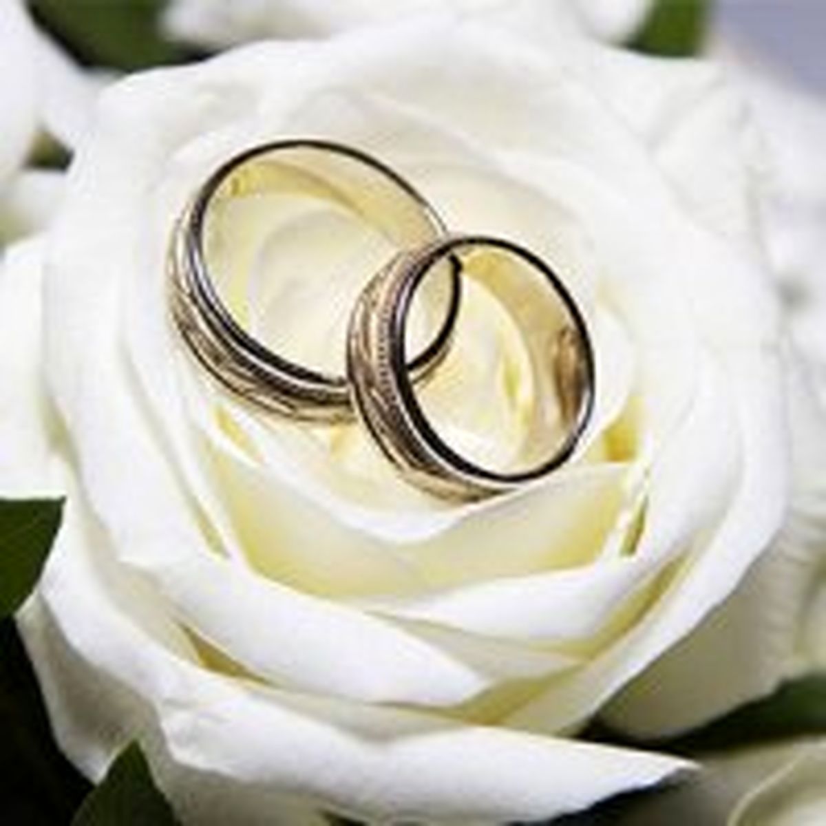 مهم‌ترین دلیل ازدواج نکردن جوانان چیست؟