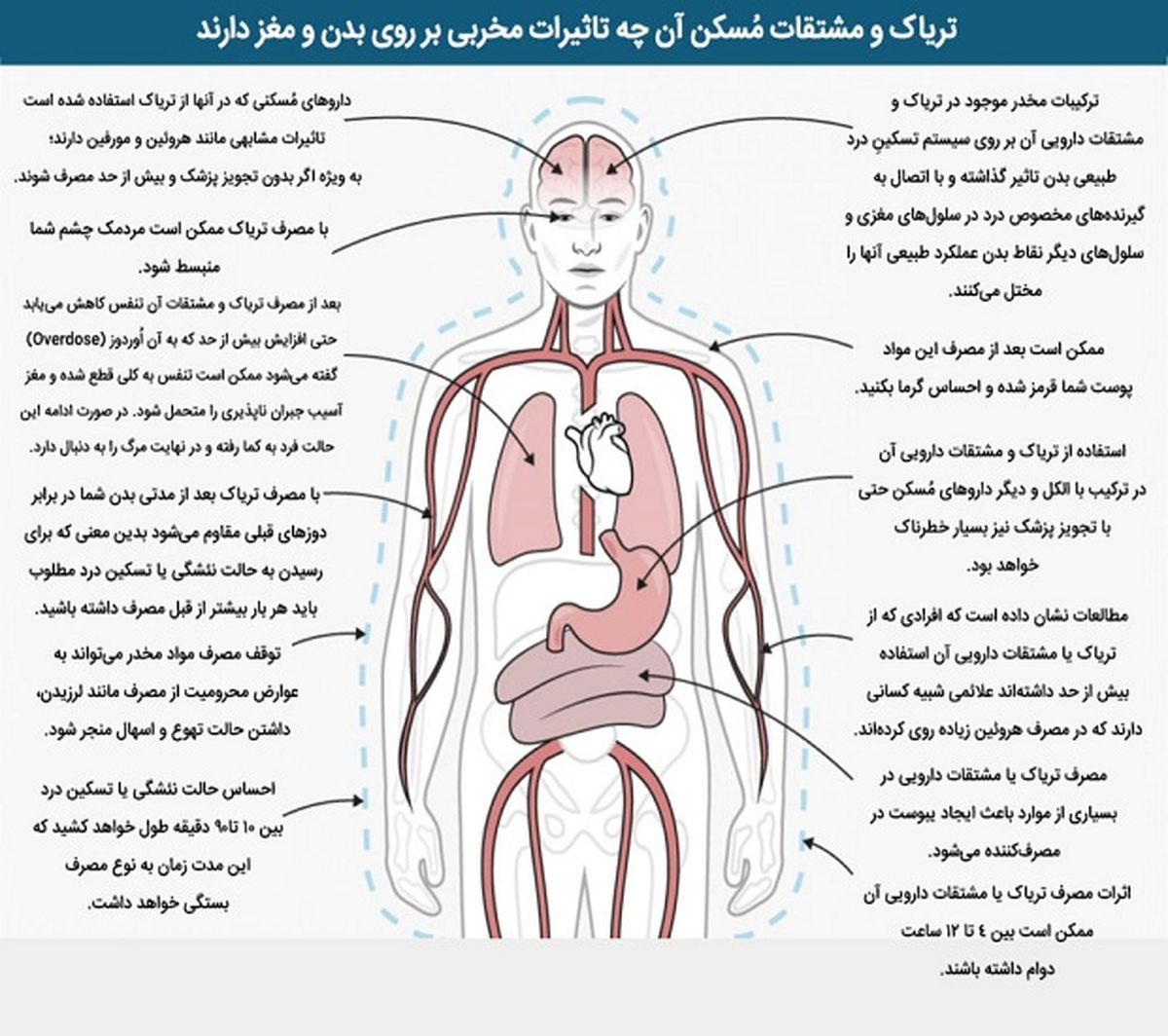 آثار مخرب تریاک و مشتقاتش بر روی بدن انسان