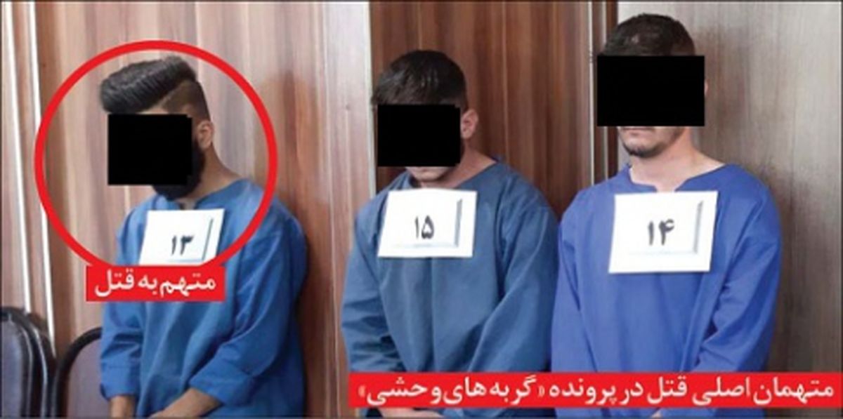 اعترافات تکان دهنده «گربه های وحشی» در مشهد