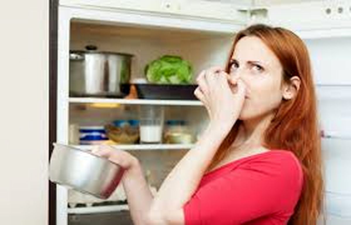 روش های ازبین بردن بوی بد یخچال برای عید