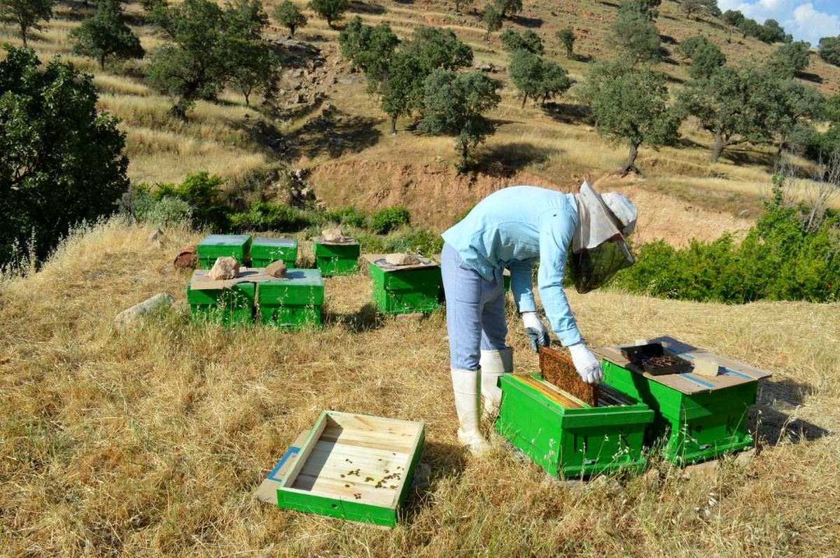 کلنگ ایجاد ۱۲۰۰ طرح اشتغال‌زایی بنیاد برکت در آذربایجان غربی بر زمین زده شد