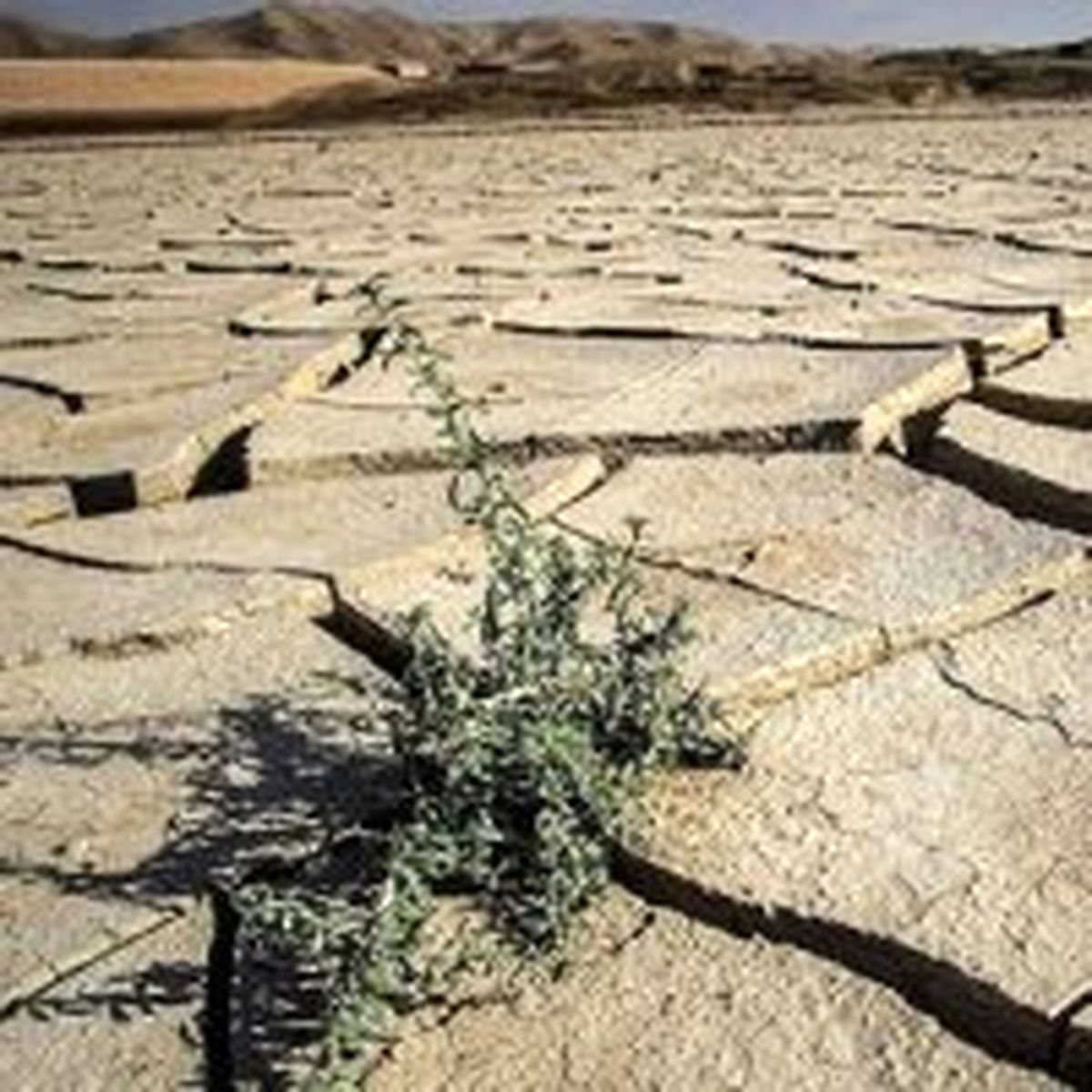 مهم‌ترین گام برای حل مسأله آب در کشور