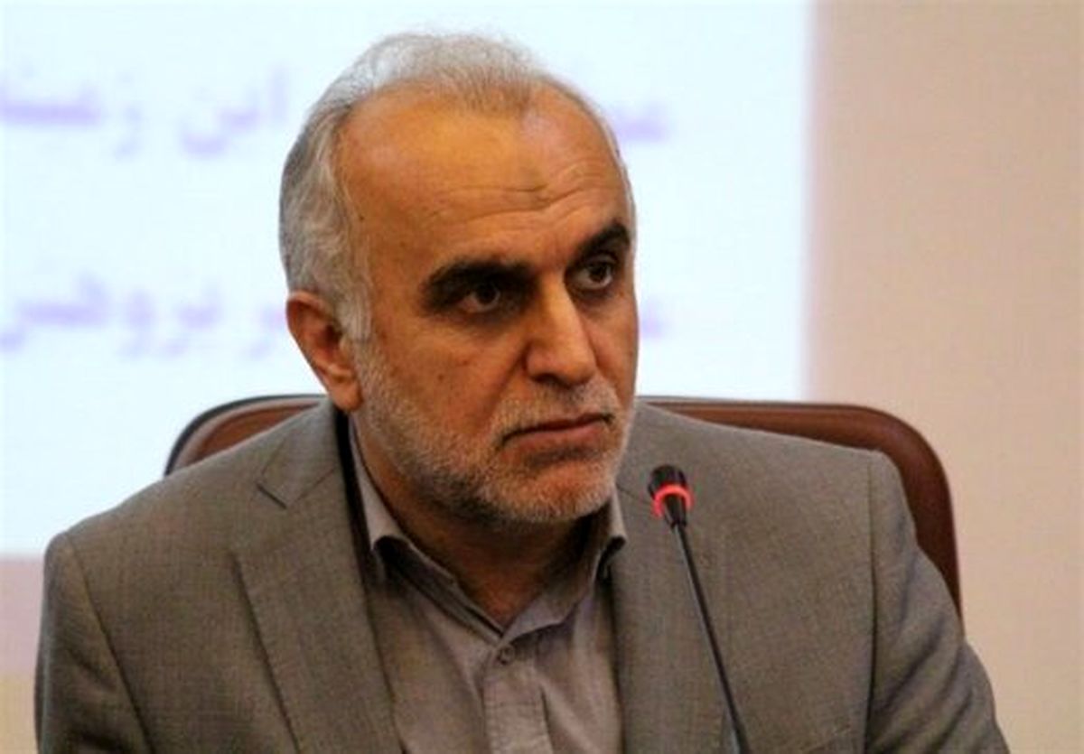 آمار جدید وزیر اقتصاد از فرار مالیاتی / تنها 27 میلیارد دلار ارز به کشور بازگشت