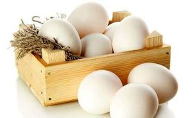 قیمت تخم مرغ پوسته سفید بسته بندی و غیر بسته بندی در غرفه های تره بار