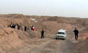 مرگ کودک ۸ ساله در حمله سگ‌های ولگرد