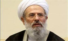 انتقاد عضو مجلس خبرگان از لیس زدن ضریح ائمه از سوی برخی افراطیون /اگر کمک نمی‌کنید لااقل ضربه نزنید