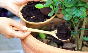 کشف کود تقویتی قاچاق گل‌و‌گیاه