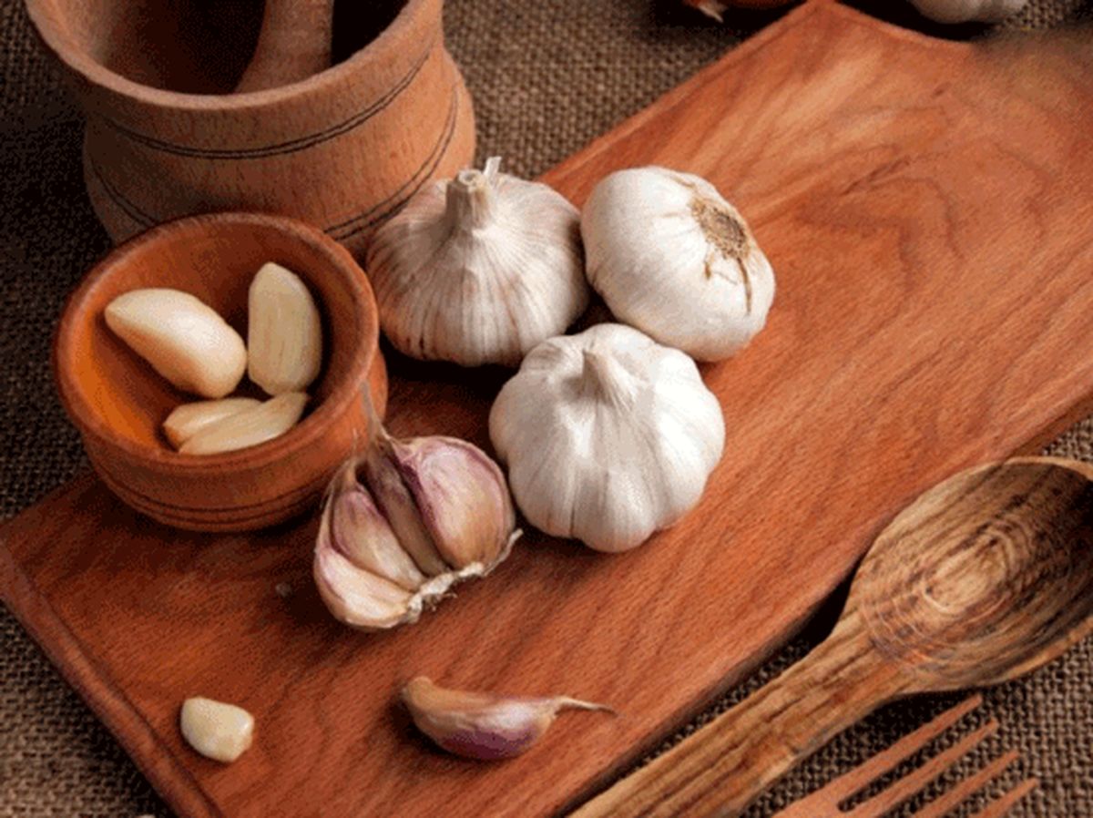 از سیر تا پیاز نگهداری سیر و پیاز