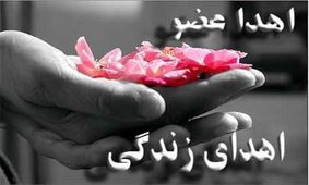 اعضای بدن بیمار مرگ مغزی در چهارمحال و بختیاری اهدا شد