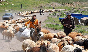 اختصاص ۴ میلیارد تومان برای اجرای ۷ طرح آبرسانی در مناطق عشایری آذربایجان غربی