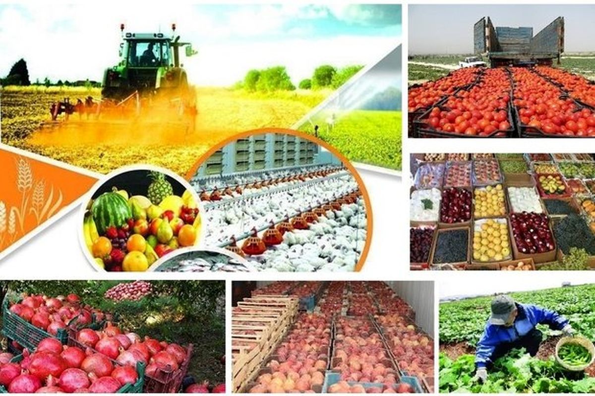 دیپلماسی اقتصادی نداریم /بیش از آنکه امتیاز بگیریم امتیاز می‌دهیم