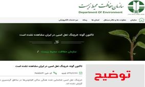 موجود عجیبی که در رشتخوار ایران دیده شد چه بود؟
