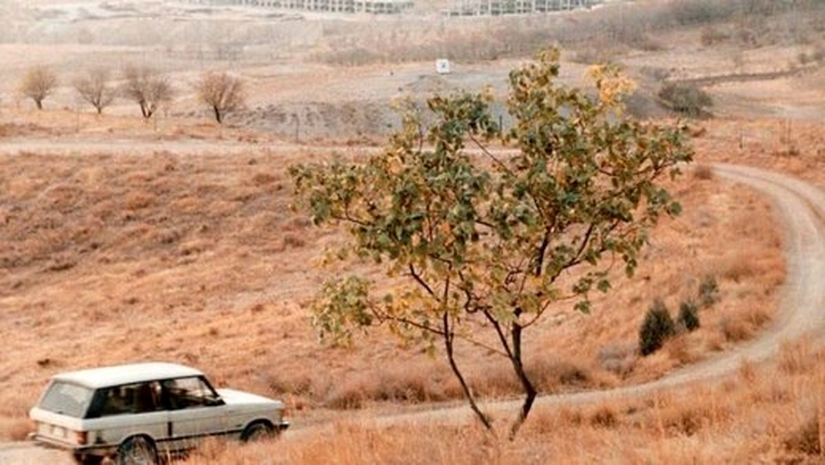 «طعم گیلاس» کیارستمی، جانی تازه گرفت