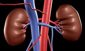 10 علامت اولیه اختلالات کلیوی