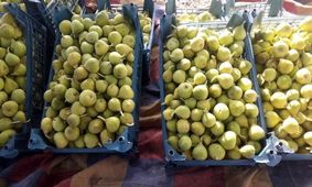 میانگین بارش در آذربایجان‌شرقی به ۳۰۲ میلی متر رسید