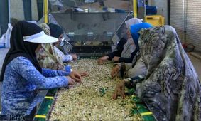 هشت روستای گناوه برای اجرای طرح سحاب بنیاد برکت انتخاب شدند