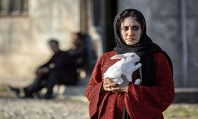 فیلم جدید پارسا پیروزفر و الناز شاکردوست مجوز نمایش گرفت / عکس