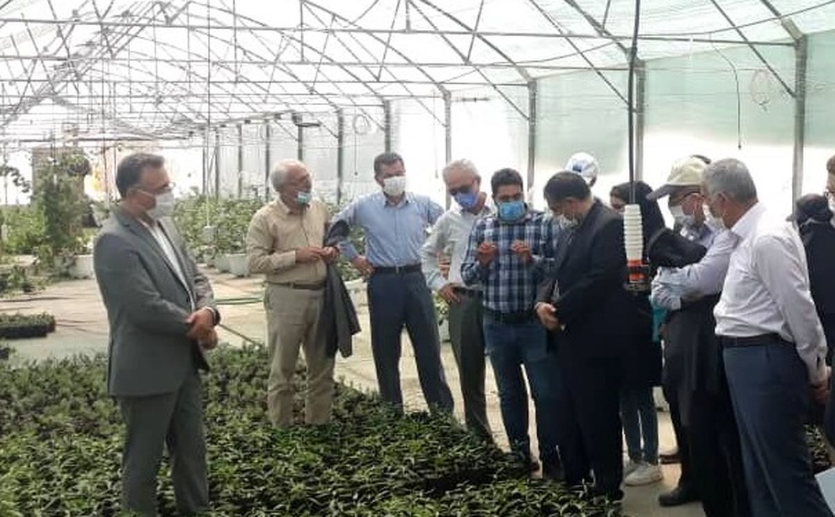 طرح‌‎ احیای دریاچه ارومیه به رشد حدود ۱۰۰ درصدی تولید کشاورزی منجر شده است